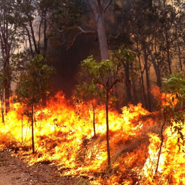 Wildfire back-burning Millstream South Wildfire back-burning Millstream South