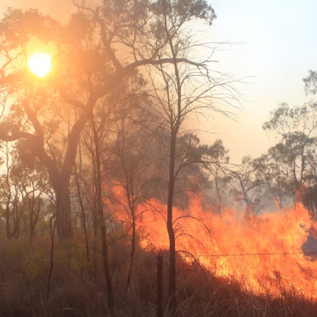 Wildfire Millstream South area Wildfire Millstream South area
