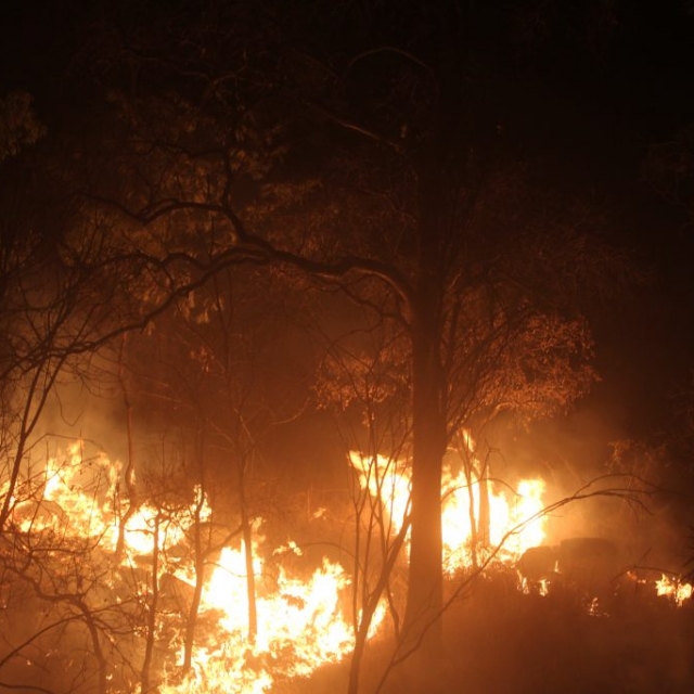 Millstream South RFB fire Millstream South RFB fire