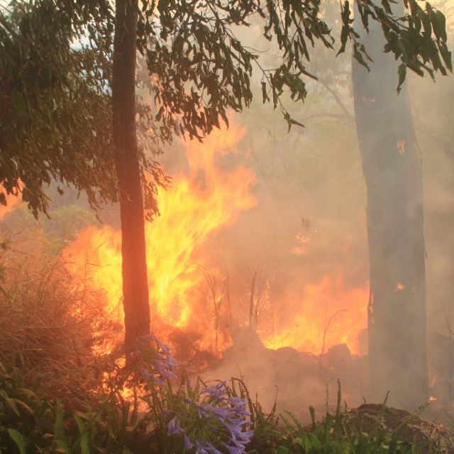 Property preparedness for fire season Ravenshoe Property preparedness for fire season Ravenshoe