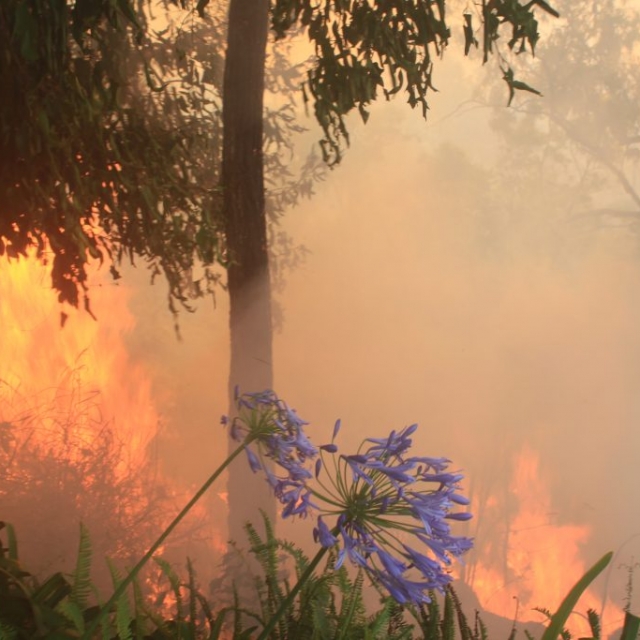 Fire safety Ravenshoe - Be Prepared Fire safety Ravenshoe- Be Prepared