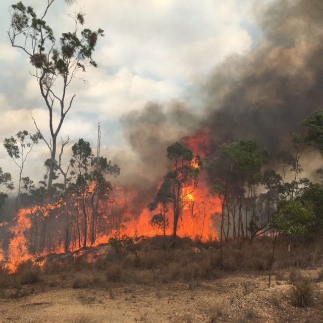Bushfire Ravenshoe area Bushfire Ravenshoe area