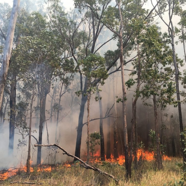 Wildfire fire fighting near me