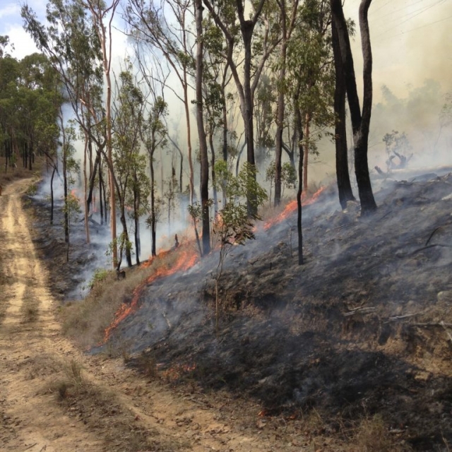 Ravenshoe area fire brigade Ravenshoe area fire brigade